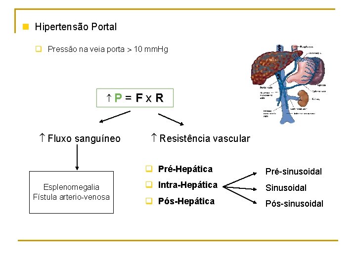 n Hipertensão Portal q Pressão na veia porta 10 mm. Hg P Fluxo sanguíneo