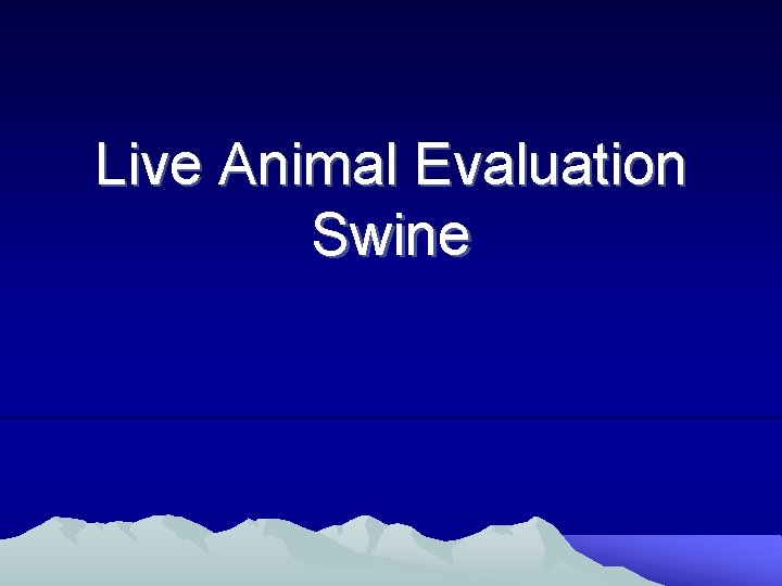 Live Animal Evaluation Swine 