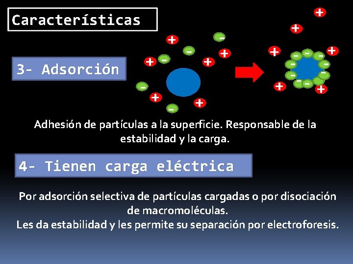 Características - + 3 - Adsorción + ++ - + + -- -+ -+