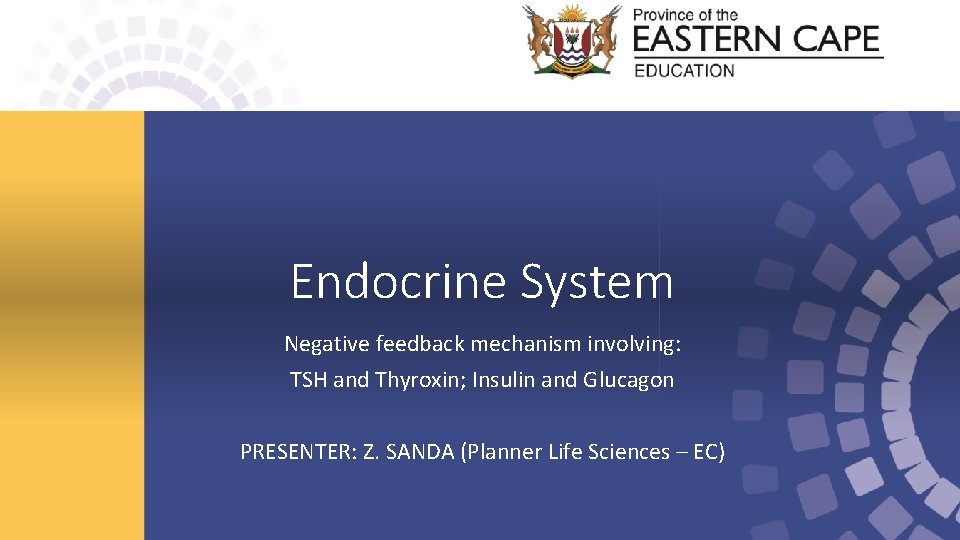 Endocrine System Negative feedback mechanism involving: TSH and Thyroxin; Insulin and Glucagon PRESENTER: Z.