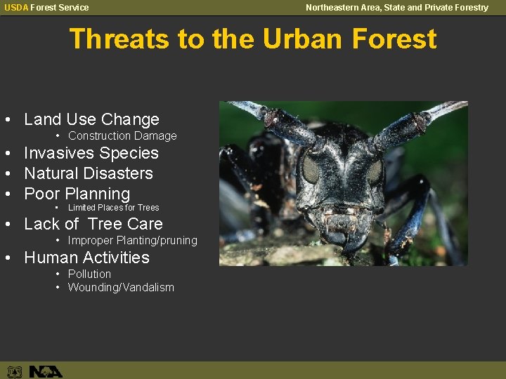 USDA Forest Service Northeastern Area, State and Private Forestry Threats to the Urban Forest