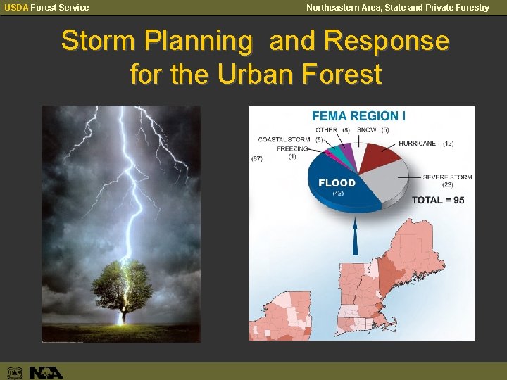 USDA Forest Service Northeastern Area, State and Private Forestry Storm Planning and Response for