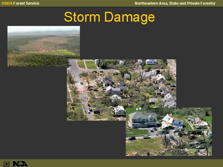 USDA Forest Service Northeastern Area, State and Private Forestry Storm Damage 