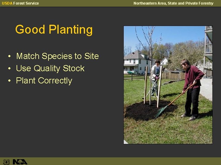 USDA Forest Service Good Planting • Match Species to Site • Use Quality Stock