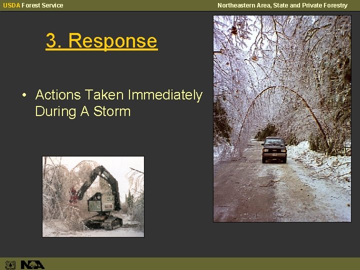 USDA Forest Service 3. Response • Actions Taken Immediately During A Storm Northeastern Area,