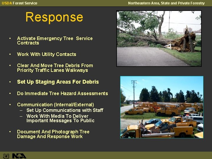 USDA Forest Service Response • Activate Emergency Tree Service Contracts • Work With Utility
