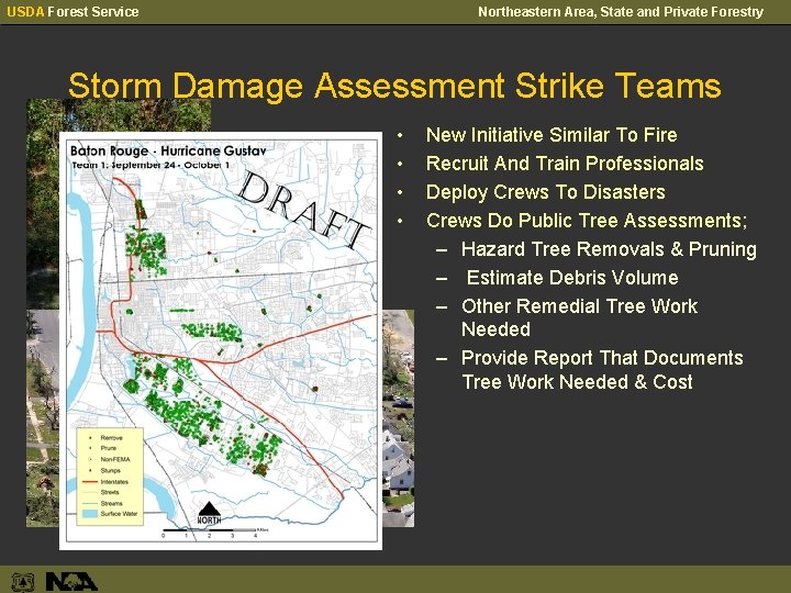 USDA Forest Service Northeastern Area, State and Private Forestry Storm Damage Assessment Strike Teams