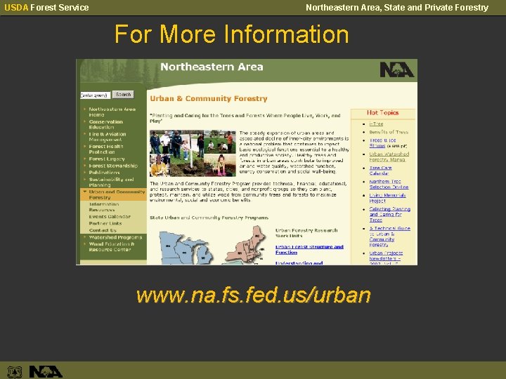 USDA Forest Service Northeastern Area, State and Private Forestry For More Information www. na.