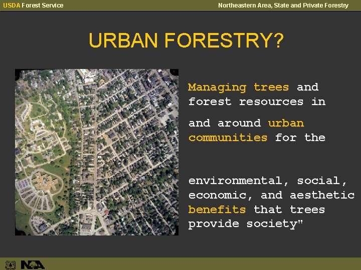 USDA Forest Service Northeastern Area, State and Private Forestry URBAN FORESTRY? Managing trees and