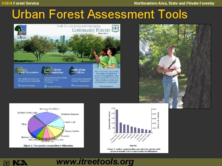USDA Forest Service Northeastern Area, State and Private Forestry Urban Forest Assessment Tools www.