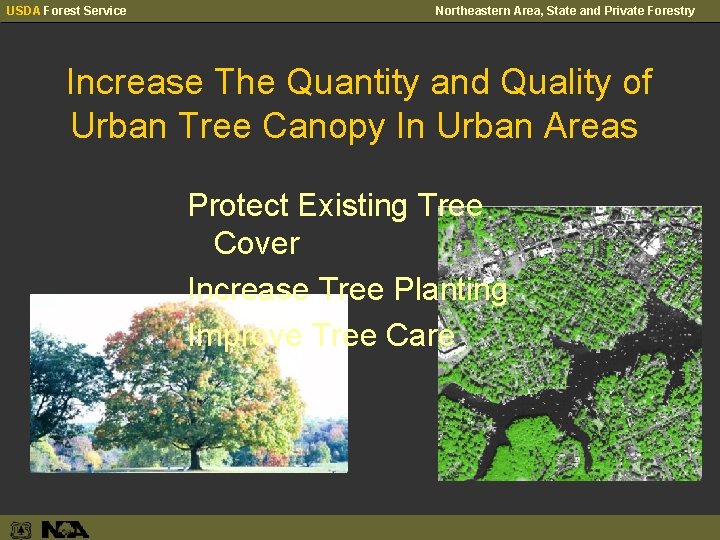 USDA Forest Service Northeastern Area, State and Private Forestry Increase The Quantity and Quality