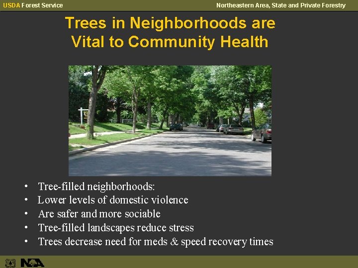 USDA Forest Service Northeastern Area, State and Private Forestry Trees in Neighborhoods are Vital