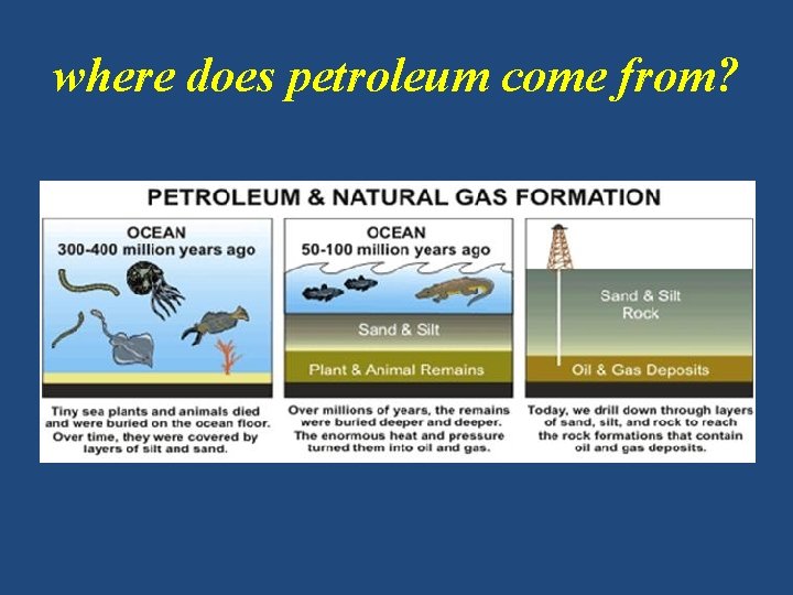 where does petroleum come from? 