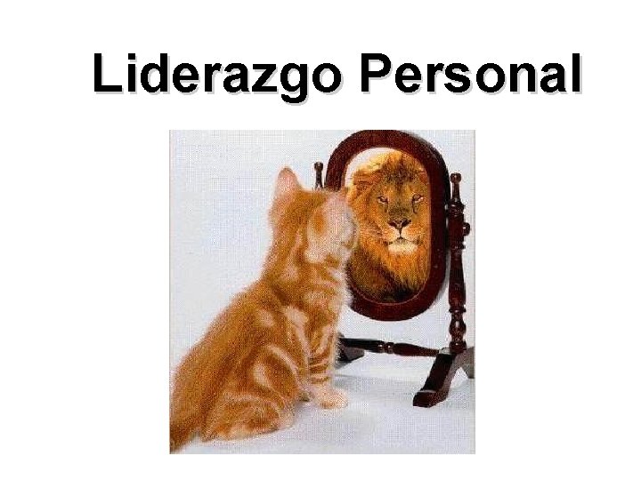 Liderazgo Personal 