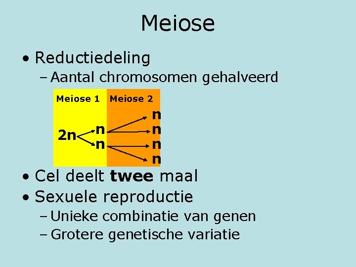 Meiose • Reductiedeling – Aantal chromosomen gehalveerd Meiose 1 2 n n n Meiose