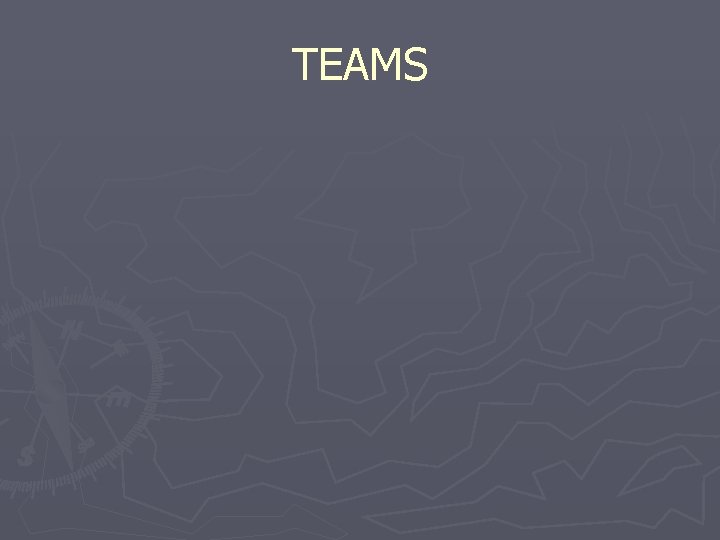 TEAMS 