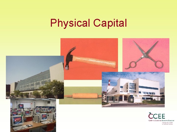 Physical Capital 