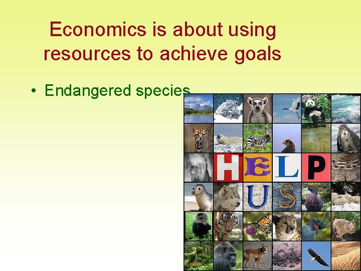 Economics is about using resources to achieve goals • Endangered species 