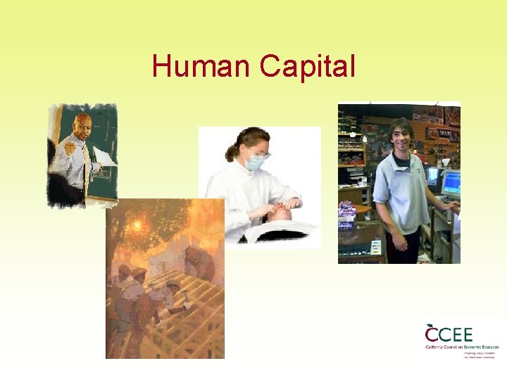 Human Capital 