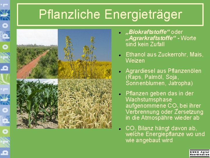 Pflanzliche Energieträger „Biokraftstoffe“ oder „Agrarkraftstoffe“ - Worte sind kein Zufall Ethanol aus Zuckerrohr, Mais,