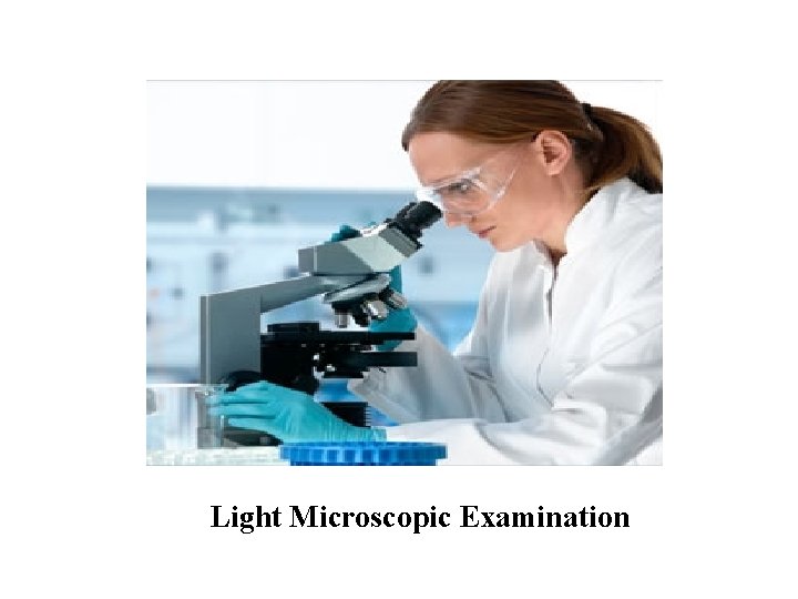 Light Microscopic Examination Light Microscopic Examination