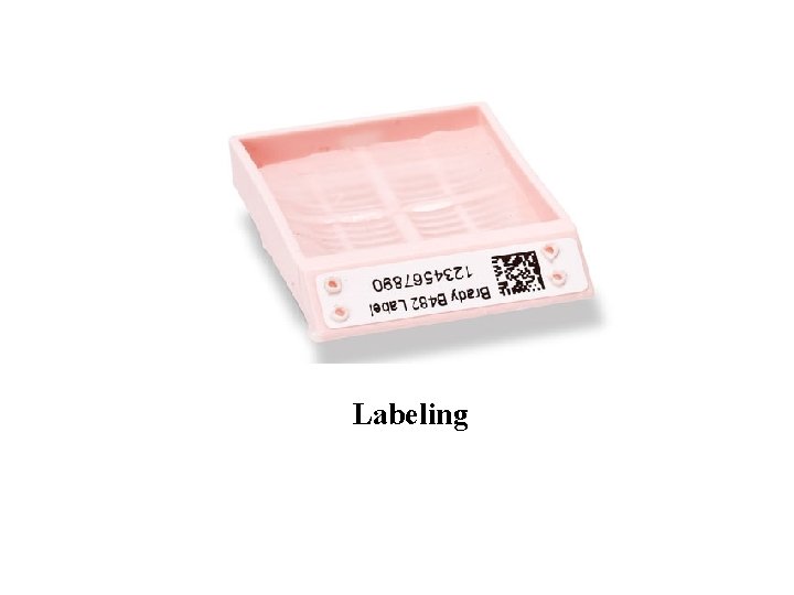 Labeling 