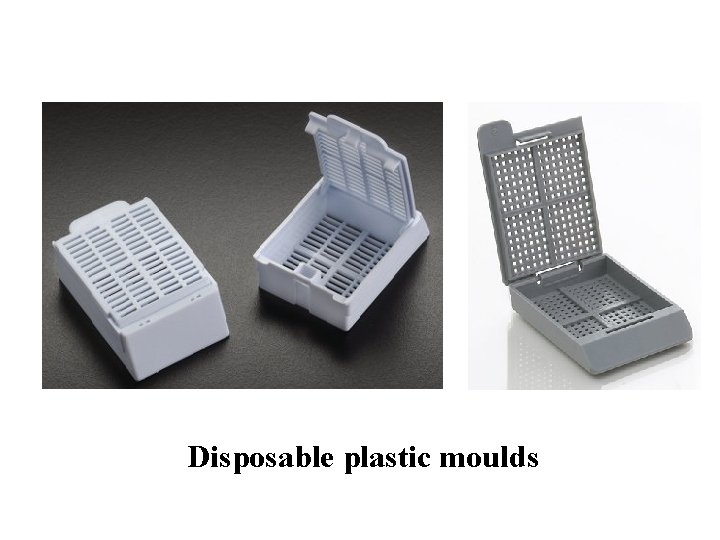 Disposable plastic moulds Disposable plastic moulds