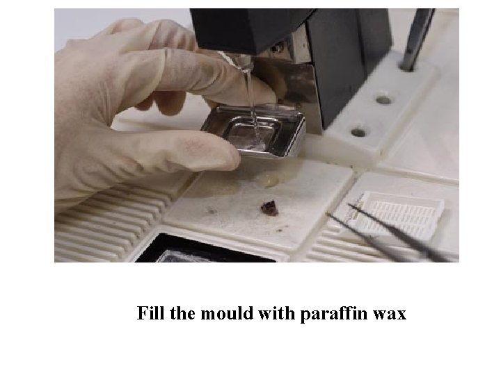 Fill the mould with paraffin wax 