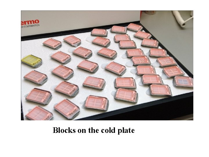 Blocks on the cold plate 