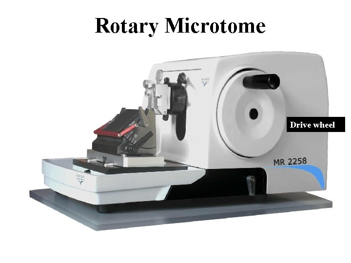 Rotary Microtome Block holder Knife holder Drive wheel Rotary Microtome Block holder Knife holder Drive wheel