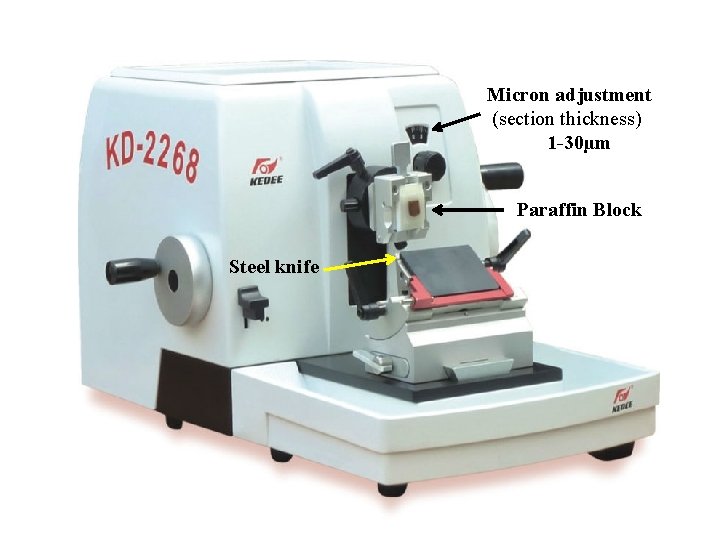 Micron adjustment (section thickness) 1 -30µm Paraffin Block Steel knife 