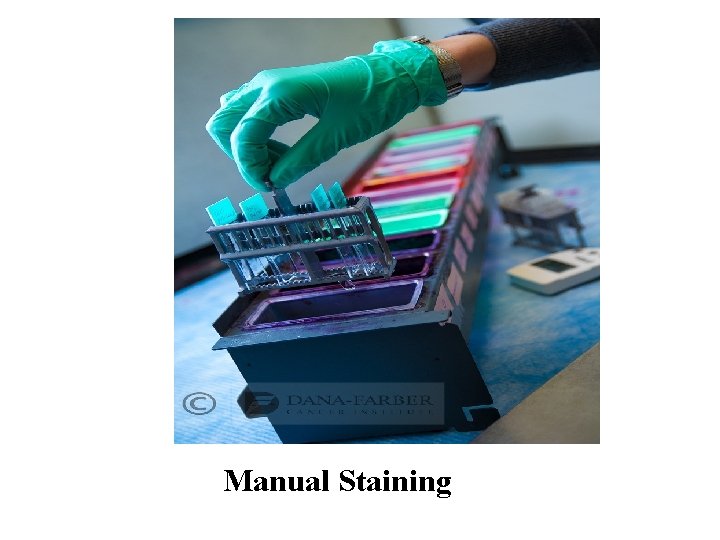 Manual Staining 