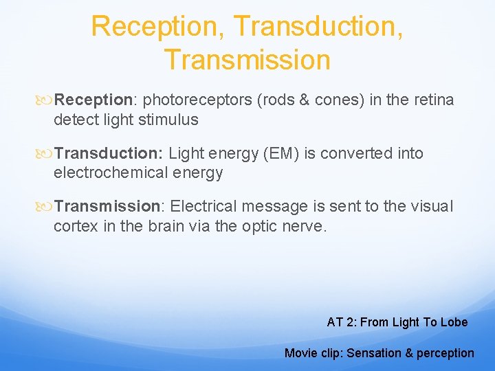 Reception, Transduction, Transmission Reception: photoreceptors (rods & cones) in the retina detect light stimulus