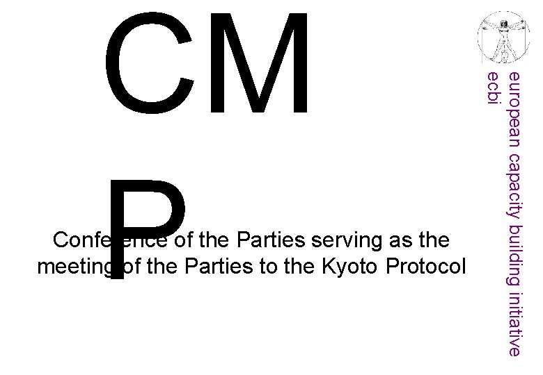 Conference of the Parties serving as the meeting of the Parties to the Kyoto