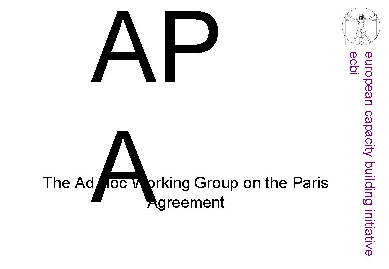 The Ad Hoc Working Group on the Paris Agreement european capacity building initiative ecbi