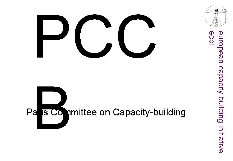 european capacity building initiative ecbi Paris Committee on Capacity-building PCC B 