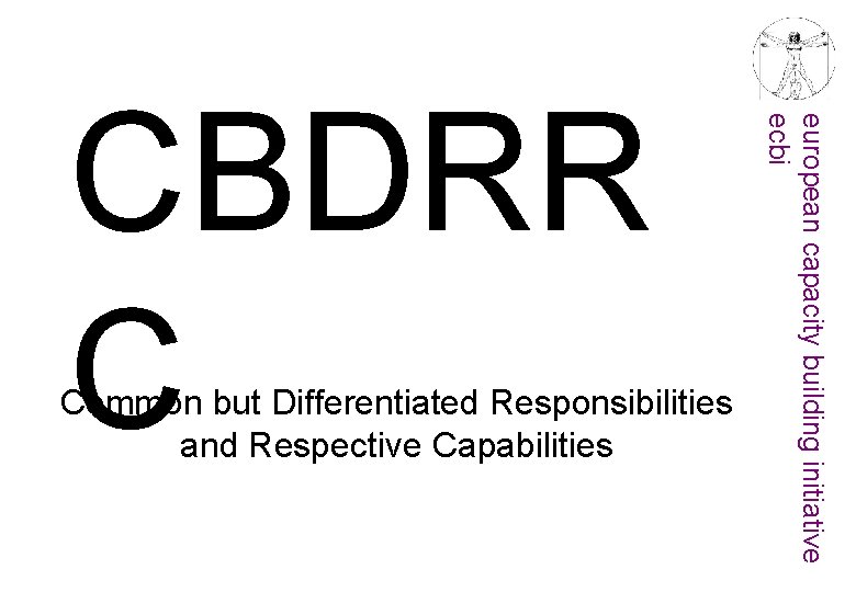 Common but Differentiated Responsibilities and Respective Capabilities european capacity building initiative ecbi CBDRR C