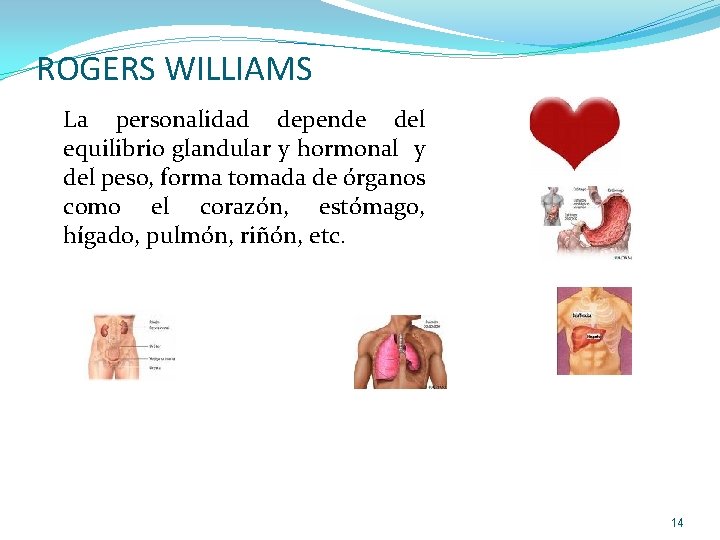 ROGERS WILLIAMS La personalidad depende del equilibrio glandular y hormonal y del peso, forma