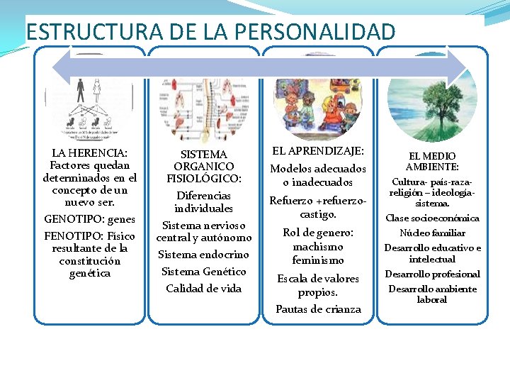 ESTRUCTURA DE LA PERSONALIDAD LA HERENCIA: Factores quedan determinados en el concepto de un
