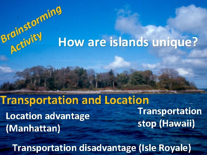 g n i m r o t s n i a r B tivity g n i m r o t s n i a r B tivity