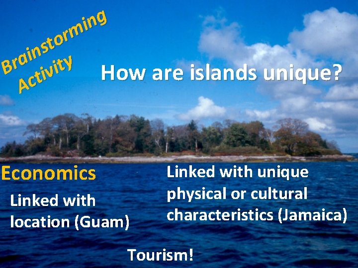 g n i m r o t s n i a r B tivity g n i m r o t s n i a r B tivity