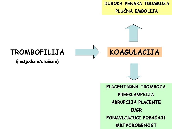 DUBOKA VENSKA TROMBOZA PLUĆNA EMBOLIJA TROMBOFILIJA KOAGULACIJA (nasljeđena/stečena) PLACENTARNA TROMBOZA PREEKLAMPSIJA ABRUPCIJA PLACENTE IUGR