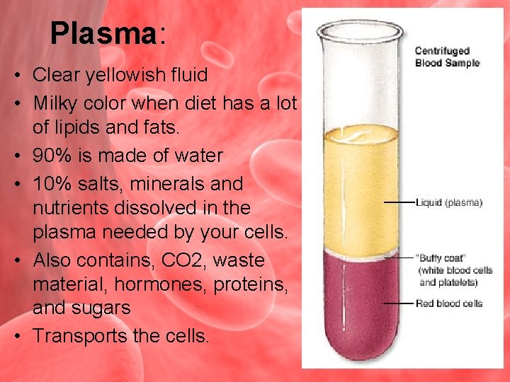 Plasma: Plasma • Clear yellowish fluid • Milky color when diet has a lot