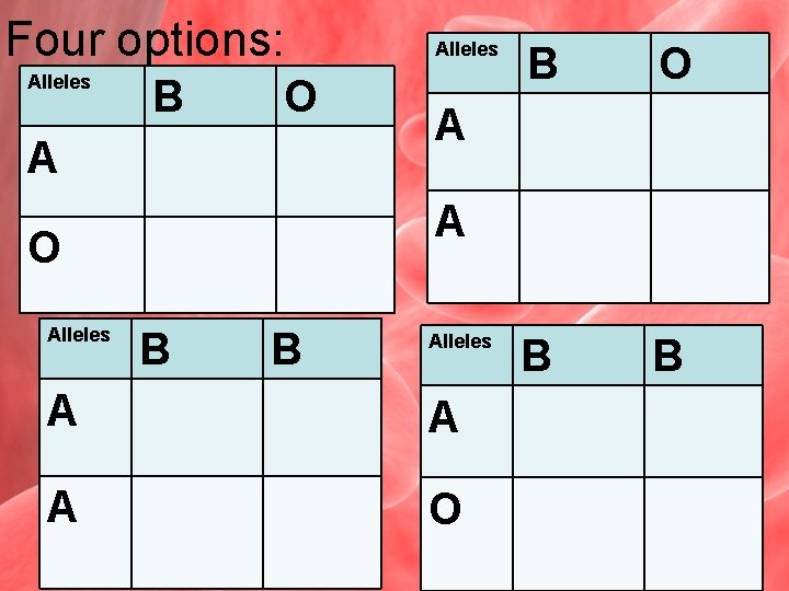 Four options: Alleles B O A B O B B A A O Alleles