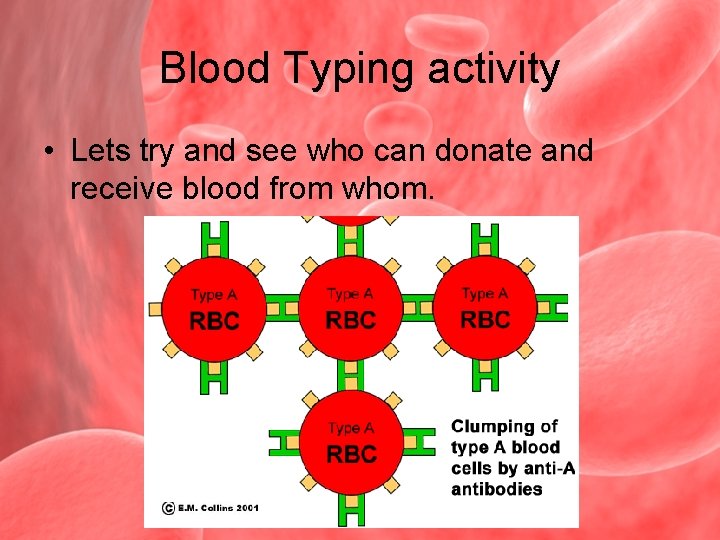 Blood Typing activity • Lets try and see who can donate and receive blood