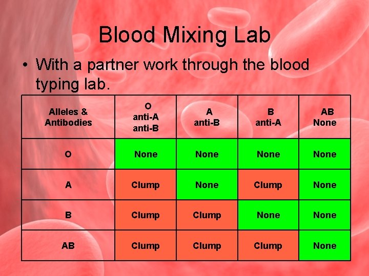 Blood Mixing Lab • With a partner work through the blood typing lab. Alleles