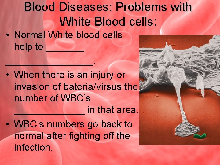 Blood Diseases: Problems with White Blood cells: • Normal White blood cells help to
