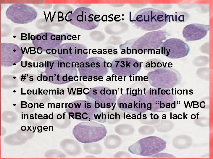WBC disease: Leukemia • • • Blood cancer WBC count increases abnormally Usually increases