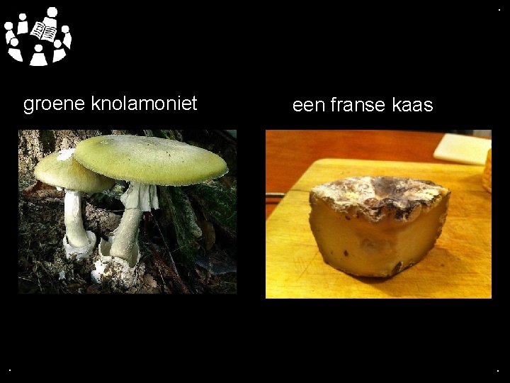 . . groene knolamoniet . een franse kaas . 