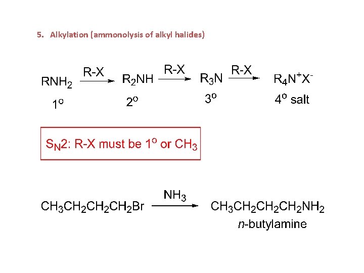 5. Alkylation (ammonolysis of alkyl halides) 